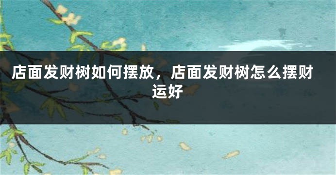 店面发财树如何摆放，店面发财树怎么摆财运好