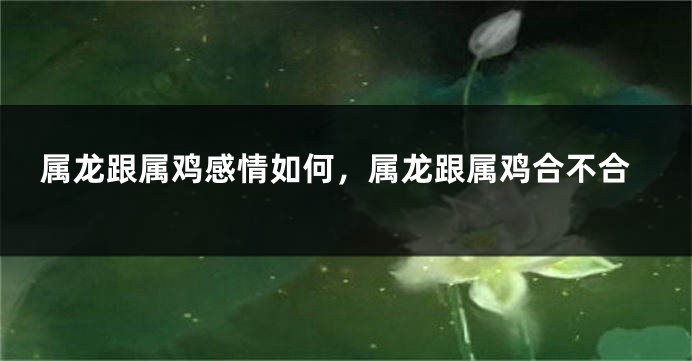 属龙跟属鸡感情如何，属龙跟属鸡合不合