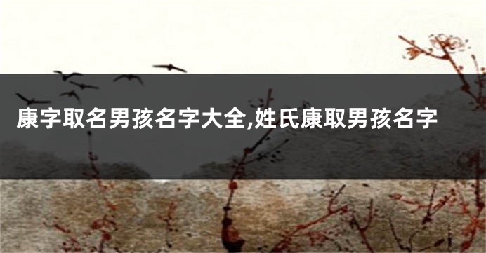 康字取名男孩名字大全,姓氏康取男孩名字