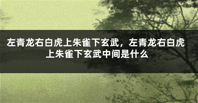 左青龙右白虎上朱雀下玄武，左青龙右白虎上朱雀下玄武中间是什么