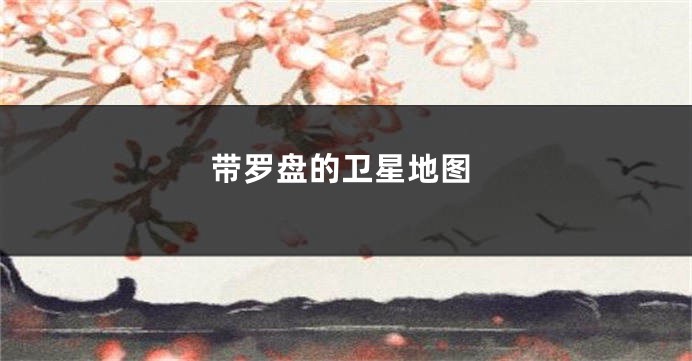 带罗盘的卫星地图