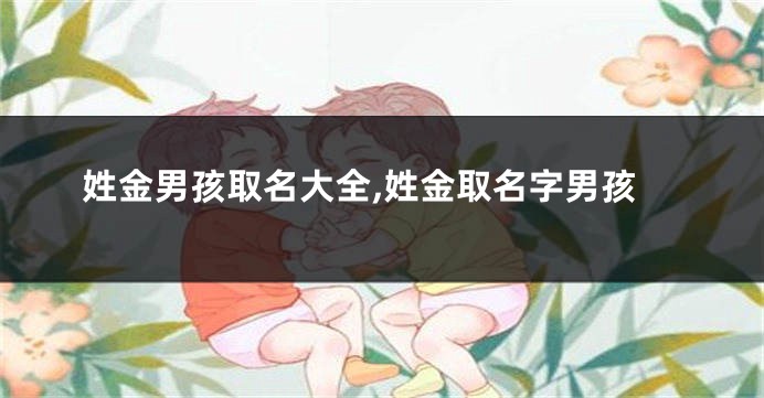 姓金男孩取名大全,姓金取名字男孩