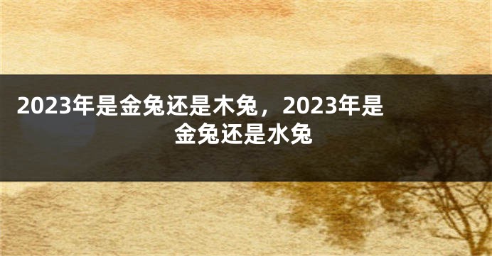 2023年是金兔还是木兔,2023年是金兔还是水兔