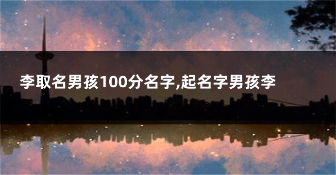 李取名男孩100分名字,起名字男孩李