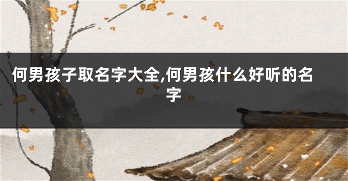 何男孩子取名字大全,何男孩什么好听的名字