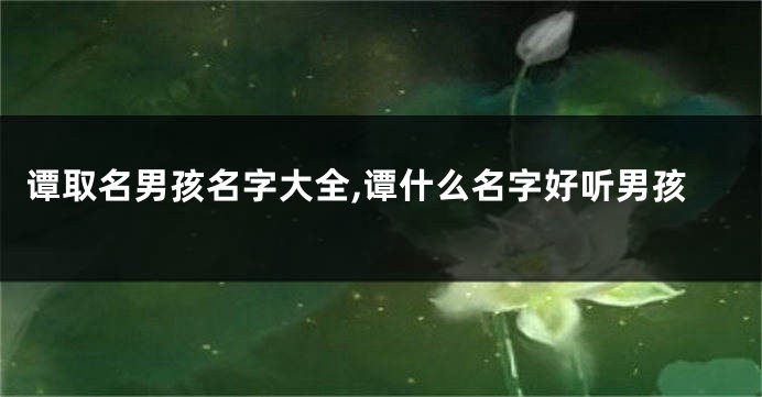谭取名男孩名字大全,谭什么名字好听男孩