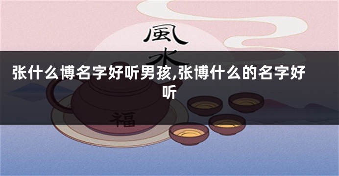 张什么博名字好听男孩,张博什么的名字好听