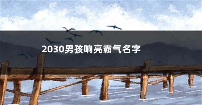 2030男孩响亮霸气名字
