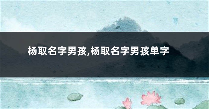 杨取名字男孩,杨取名字男孩单字