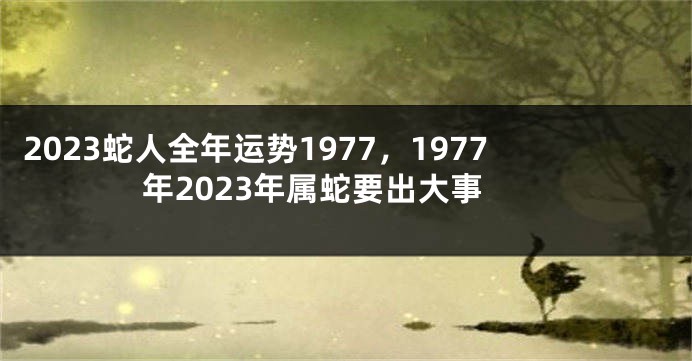 2023蛇人全年运势1977，1977年2023年属蛇要出大事