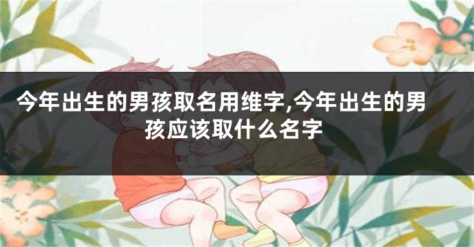 今年出生的男孩取名用维字,今年出生的男孩应该取什么名字