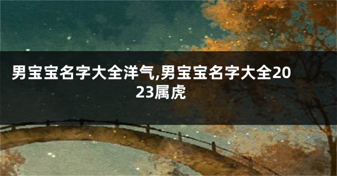 男宝宝名字大全洋气,男宝宝名字大全2023属虎