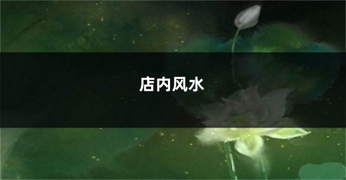 店内风水
