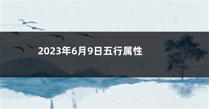 2023年6月9日五行属性