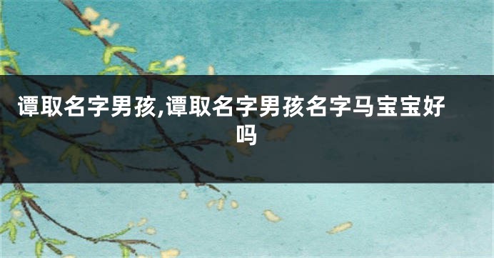 谭取名字男孩,谭取名字男孩名字马宝宝好吗