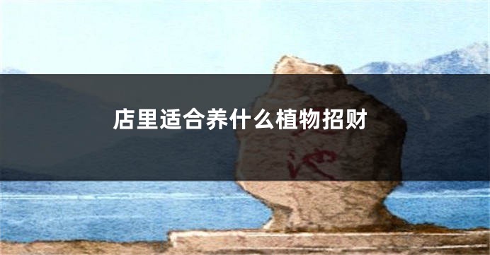 店里适合养什么植物招财