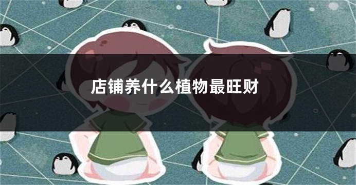 店铺养什么植物最旺财