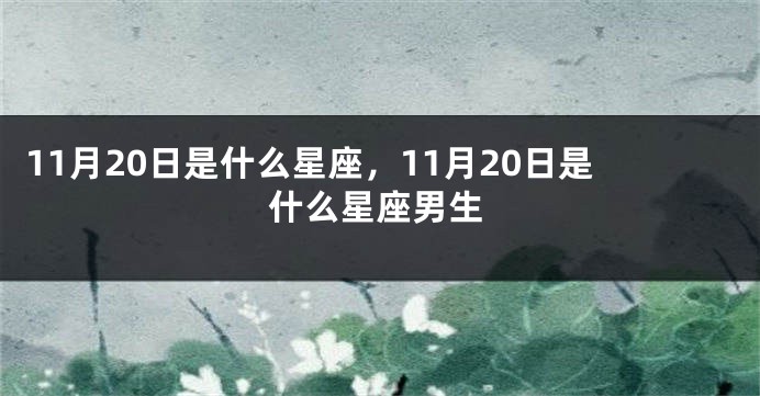 11月20日是什么星座，11月20日是什么星座男生