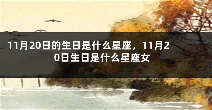 11月20日的生日是什么星座，11月20日生日是什么星座女