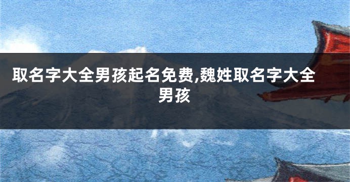 取名字大全男孩起名免费,魏姓取名字大全男孩