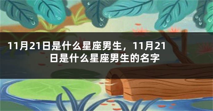 11月21日是什么星座男生，11月21日是什么星座男生的名字