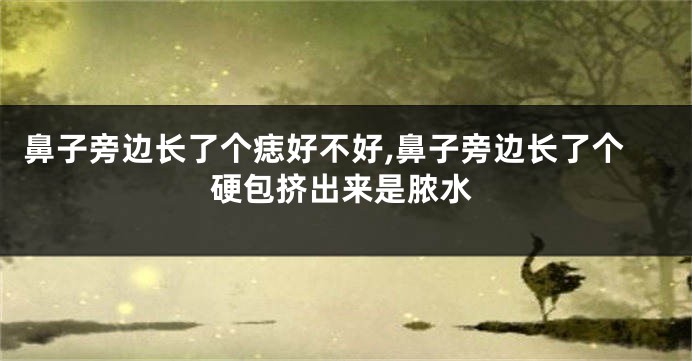 鼻子旁边长了个痣好不好,鼻子旁边长了个硬包挤出来是脓水