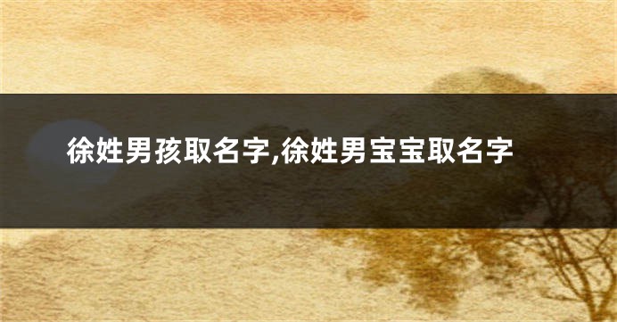 徐姓男孩取名字,徐姓男宝宝取名字
