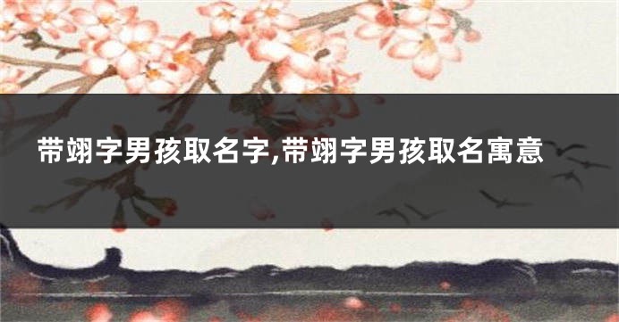 带翊字男孩取名字,带翊字男孩取名寓意