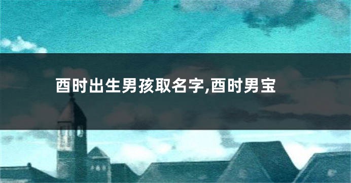酉时出生男孩取名字,酉时男宝