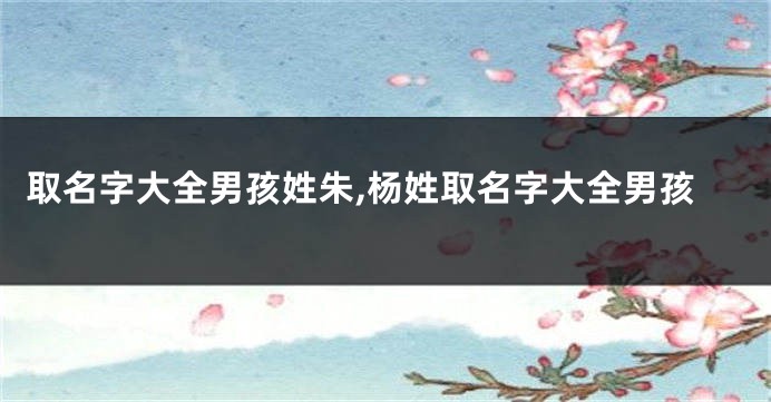 取名字大全男孩姓朱,杨姓取名字大全男孩