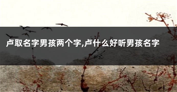 卢取名字男孩两个字,卢什么好听男孩名字