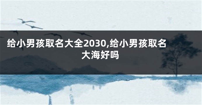 给小男孩取名大全2030,给小男孩取名大海好吗