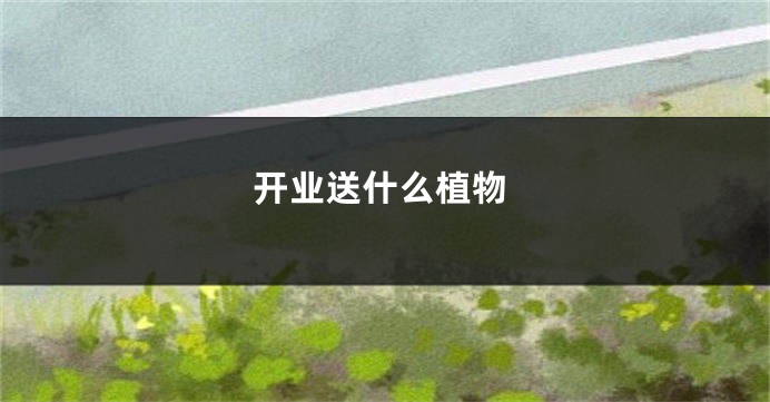 开业送什么植物