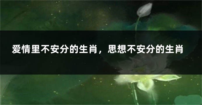 爱情里不安分的生肖，思想不安分的生肖