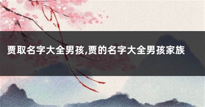 贾取名字大全男孩,贾的名字大全男孩家族