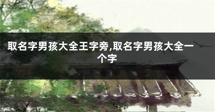 取名字男孩大全王字旁,取名字男孩大全一个字