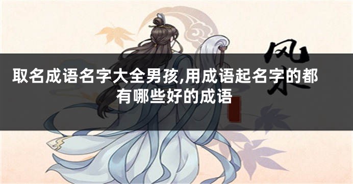 取名成语名字大全男孩,用成语起名字的都有哪些好的成语