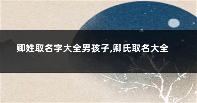卿姓取名字大全男孩子,卿氏取名大全