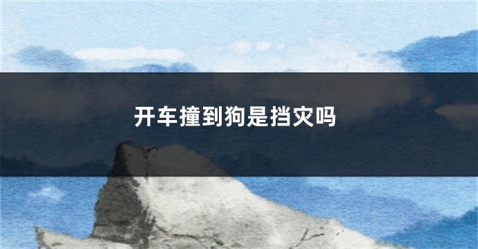开车撞到狗是挡灾吗