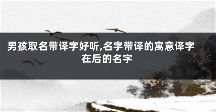 男孩取名带译字好听,名字带译的寓意译字在后的名字