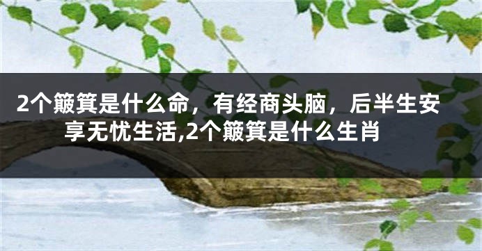 2个簸箕是什么命，有经商头脑，后半生安享无忧生活,2个簸箕是什么生肖