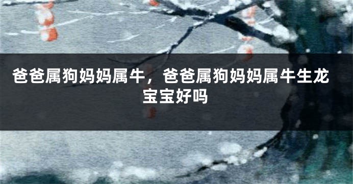 爸爸属狗妈妈属牛，爸爸属狗妈妈属牛生龙宝宝好吗