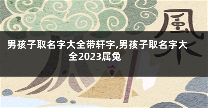男孩子取名字大全带轩字,男孩子取名字大全2023属兔