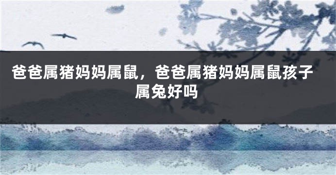 爸爸属猪妈妈属鼠，爸爸属猪妈妈属鼠孩子属兔好吗