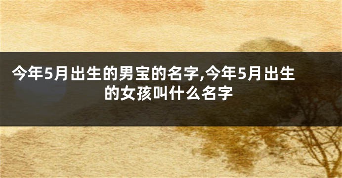 今年5月出生的男宝的名字,今年5月出生的女孩叫什么名字