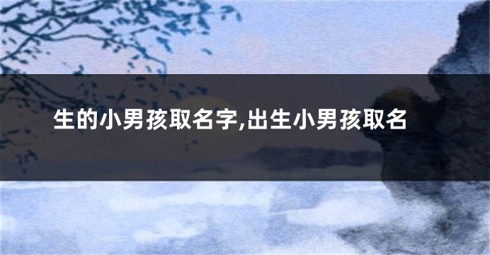 生的小男孩取名字,出生小男孩取名