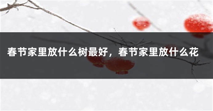 春节家里放什么树最好，春节家里放什么花