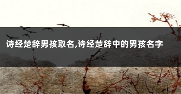 诗经楚辞男孩取名,诗经楚辞中的男孩名字