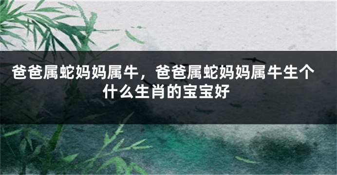爸爸属蛇妈妈属牛，爸爸属蛇妈妈属牛生个什么生肖的宝宝好