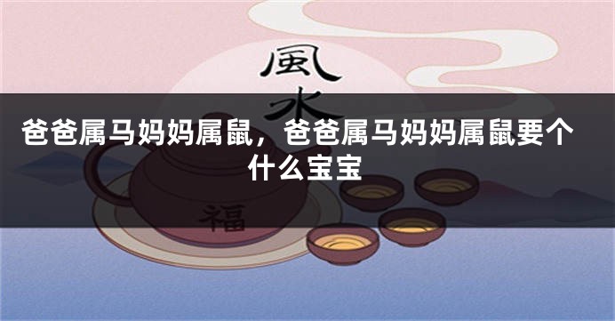 爸爸属马妈妈属鼠，爸爸属马妈妈属鼠要个什么宝宝